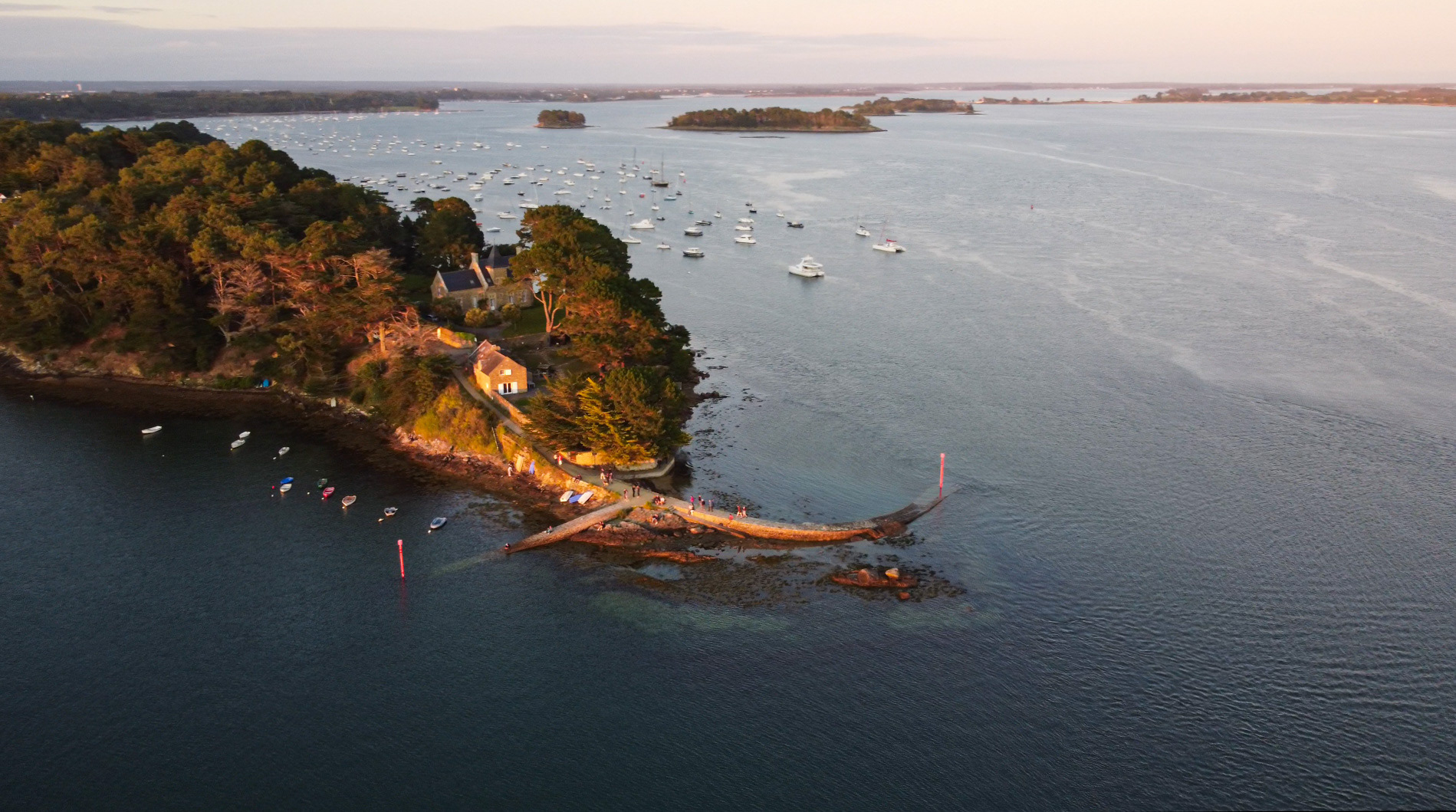 Petite île boisée du golfe du Morbihan vue par drone