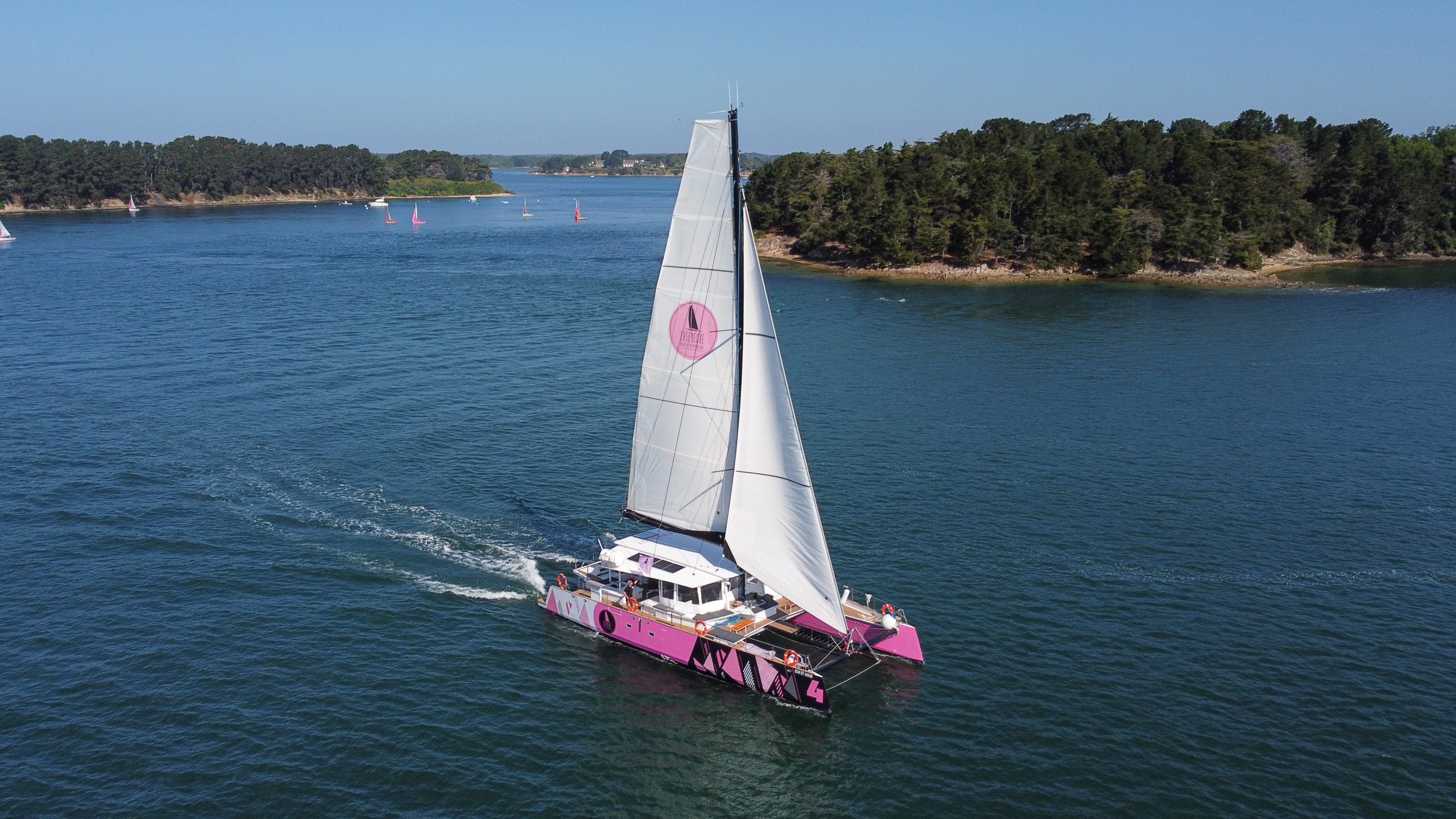 Catamaran à voile rose naviguant entre les îles du golfe du Morbihan, vu par drone